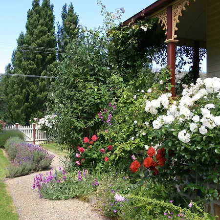 Cambridge House B&B-3